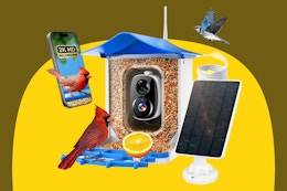 B0FM3F3P7J Bird Feeder