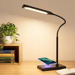 LED Desk Lamp