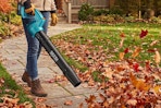 amazon B0FMJV67P1 leaf blower