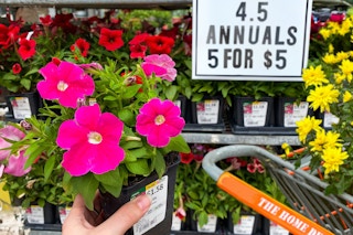 someone putting some flowers into their basket at home depot