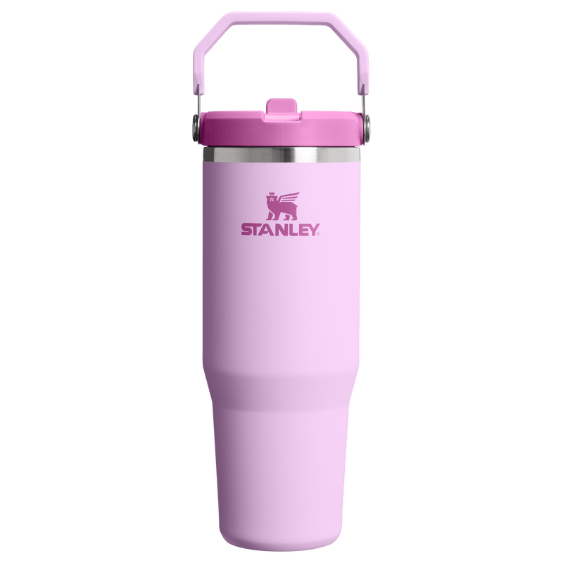 Stanley 1913 IceFlow Flip Straw Tumbler