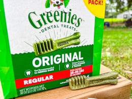 greenies dog chews