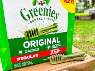 greenies dog chews
