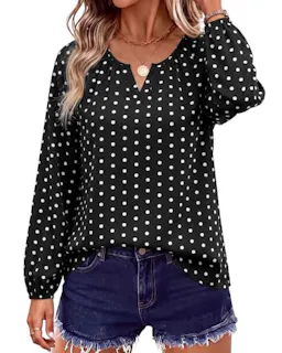 Women's Dressy Casual Blouse