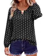 Women's Dressy Casual Blouse