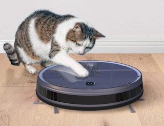 a cat playing with a robot vacuum
