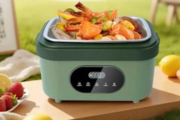 MDHAND Heated Lunch Box