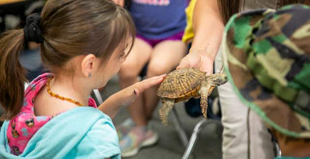 Teachers, Apply Now for the Pets in the Classroom Grant Program card image