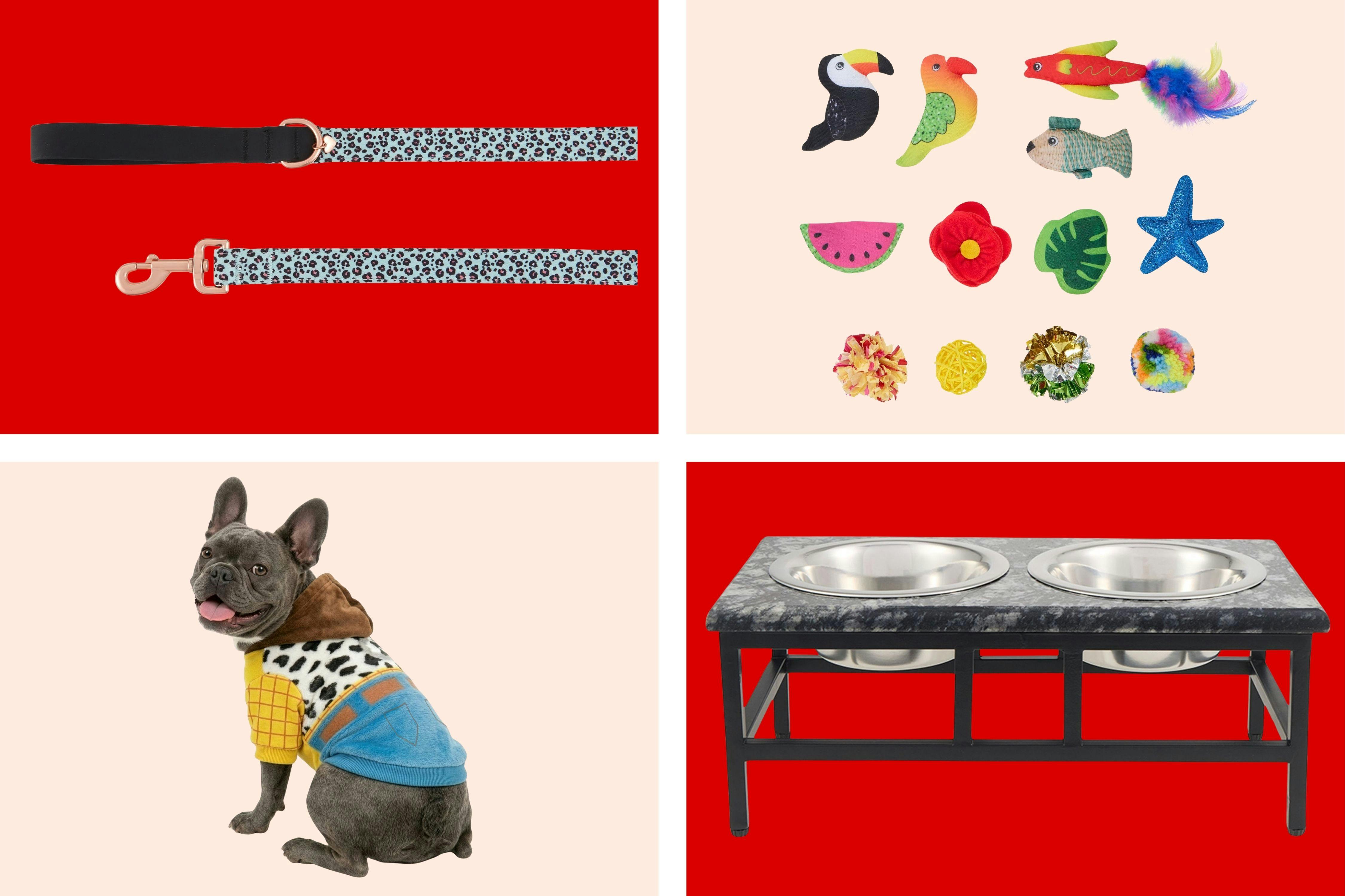 collage image of a dog leash, cat toys, raised food bowls, and dog in a toy story outfit