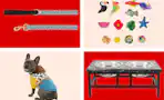 collage image of a dog leash, cat toys, raised food bowls, and dog in a toy story outfit