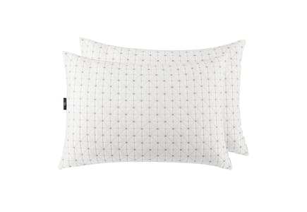 Sertapedic Pillow Set