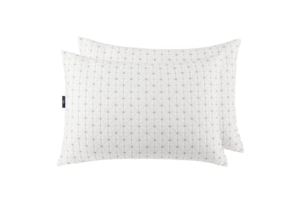 Sertapedic Pillow Set