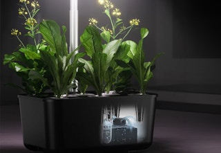 a black hydroponics garden with herbs in it