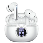 Wireless Earbuds