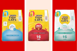 Tidy Cats Clumping Cat Litter
