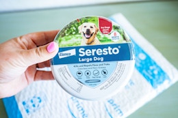 Seresto Flea and Tick Treatment, as Low as $40.78 for Amazon Pet Day card image