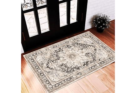 Washable Entry Door Rug