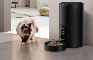 cat walking up to an automatic food dispenser