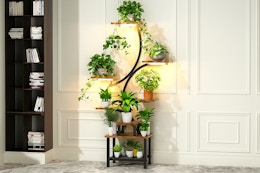 This 62-Inch Plant Stand With Grow Lights Is Just $55.99 on Amazon card image