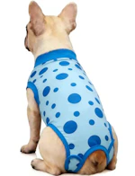 Dog Recovery Suit