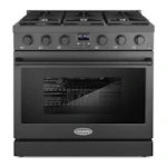 36-in 6-Burner Gas Range