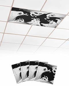 Light Covers for Ceiling Lights