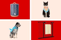 The 12 Best Clearance Finds During Petco's Clearance Event card image