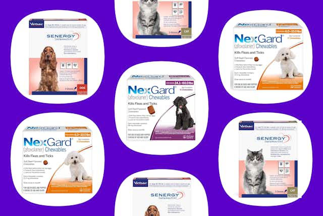Flea and Tick Medicine, Starting as Low as $32 at Chewy card image