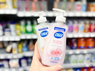 walmart-dial-handsoap-1
