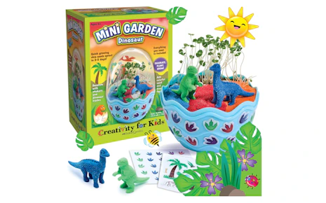 Creativity for Kids Mini Garden Kit