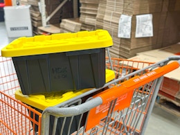 Get the Viral $2.50 Mini Storage Bin at The Home Depot While Supplies Last card image