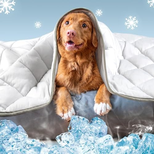 Dog Cooling Mat