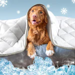 Dog Cooling Mat