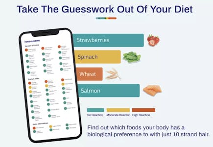 Advanced Food Intolerance Labs Test