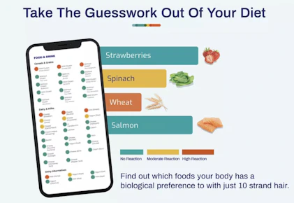 Advanced Food Intolerance Labs Test