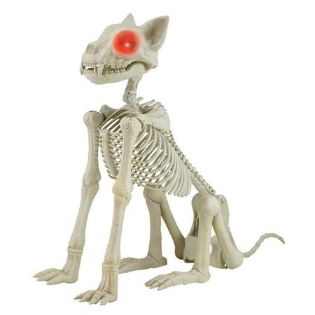 Way To Celebrate Skeleton Cat