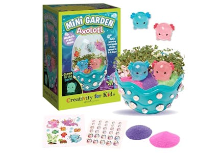 Kids' Mini Garden Terrarium