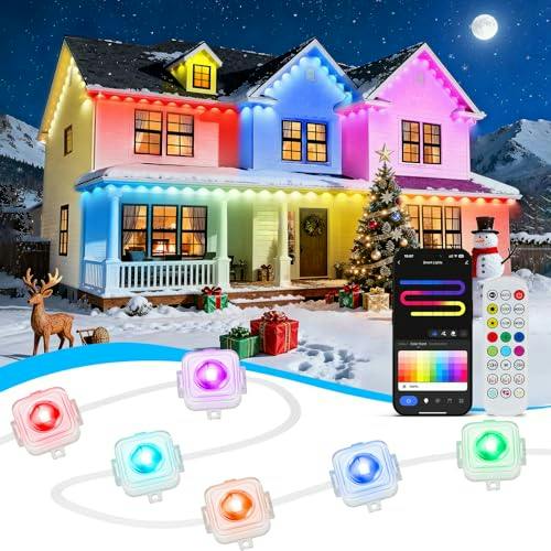Permanent Outdoor Lights