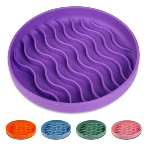 Slow Feeder Dog Bowl