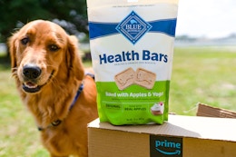 Blue Buffalo Dog Treats, as Low as $3.42 per Bag With Bonus $5 Amazon Credit card image