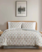 2 Comforter Sets