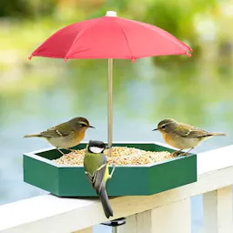 Bird Feeder Tray