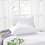 Bed Pillows 2-Pack