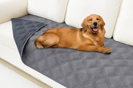 This $24 Waterproof Dog Blanket Is Amazon's Choice — Now Just $6 for Pet Day card image