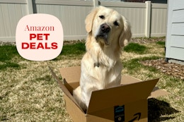 amazon-pet-deals-5