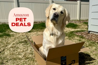 amazon-pet-deals-5