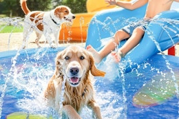 Amazon Has This Splash Pad for Just $9.99 (Save 50%) card image