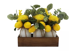 Sonoma Goods For Life Mason Jar Trio