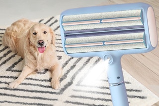 B0FPCL9B31 Pet Hair Remover