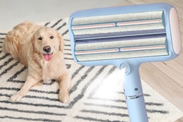 B0FPCL9B31 Pet Hair Remover